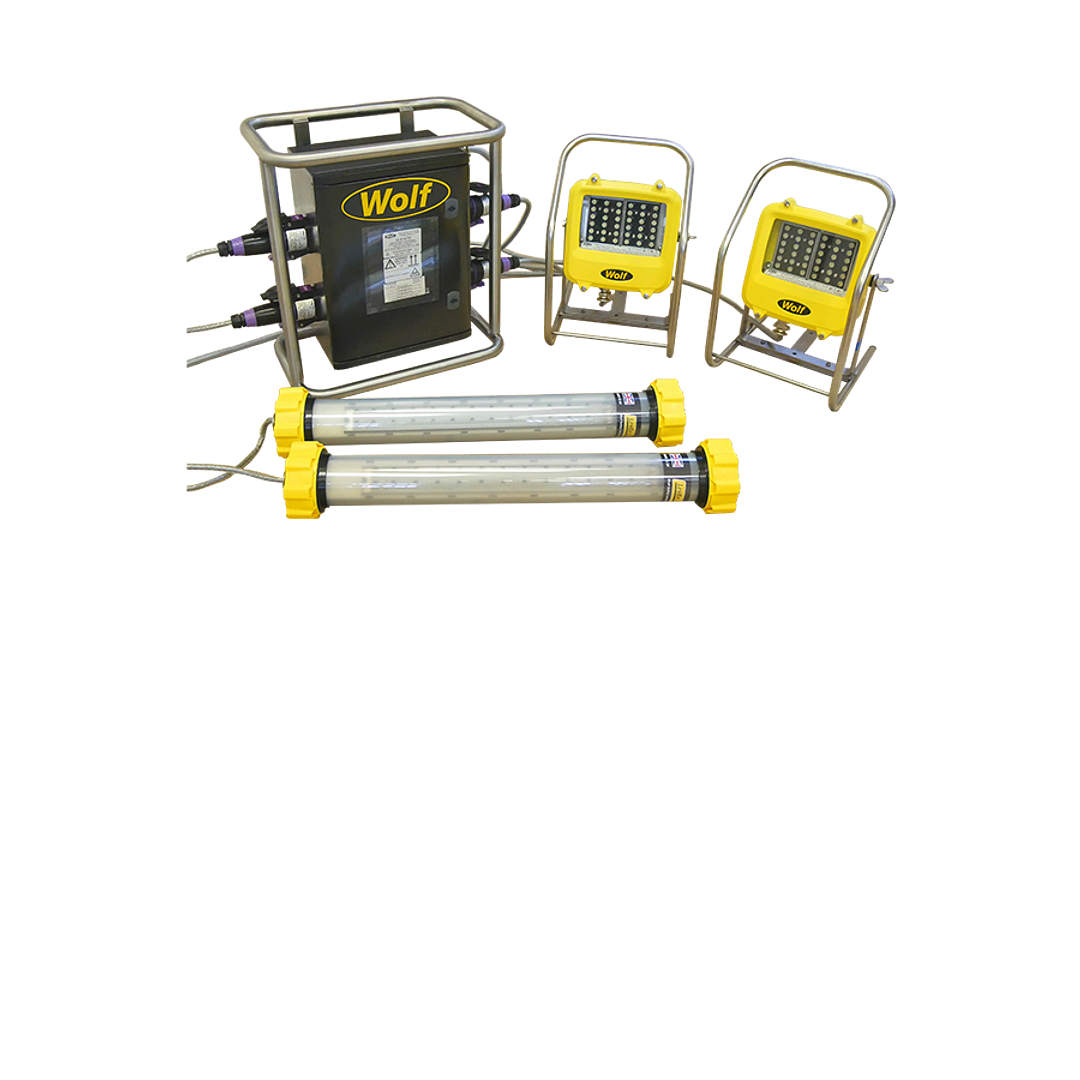 TEMPORARY LIGHTING Wolf Safety